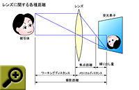 Click�Ŋg��