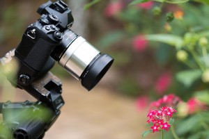 写真04接写リングを使っての撮影風景　１ Olympus OM-D E-M1 とマイクロフォーサーズレンズの間に接写リングを装着し、花を近接撮影。