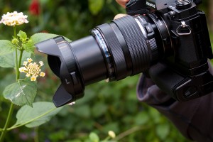 写真06接写リングを使っての撮影風景　２ Olympus M.ZUIKO DIGITAL ED 12-40mm F2.8 PRO と接写リングを装着し、花を近接撮影。