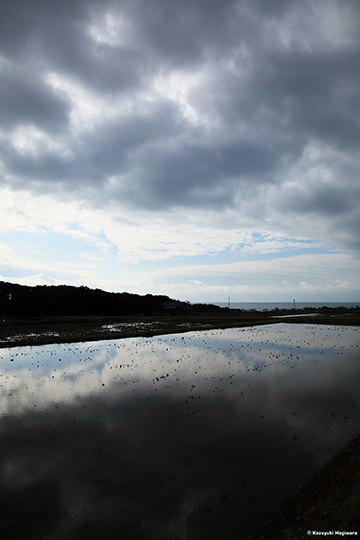 Canon  EOS 5D MarkⅢ ＋ Tokina AT-X 24-70 F2.8 PRO FX　24mm　絞り優先 AE （ f13　1/500 秒 ）　ISO：200　AWB　RAW