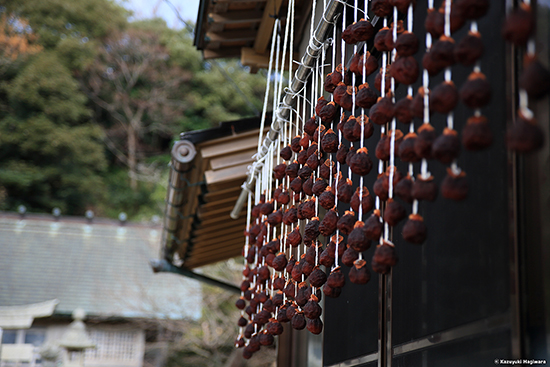 Canon  EOS 5D MarkⅢ ＋ Tokina AT-X 24-70 F2.8 PRO FX 　63mm　絞り優先 AE （ f2.8　1/800 秒 ）　ISO：200　AWB　RAW