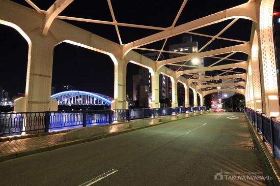 豊海橋から望む永代橋