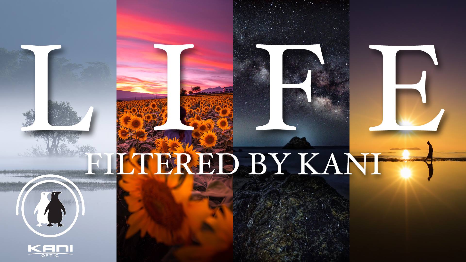 写真展  LIFE, Filtered by KANI