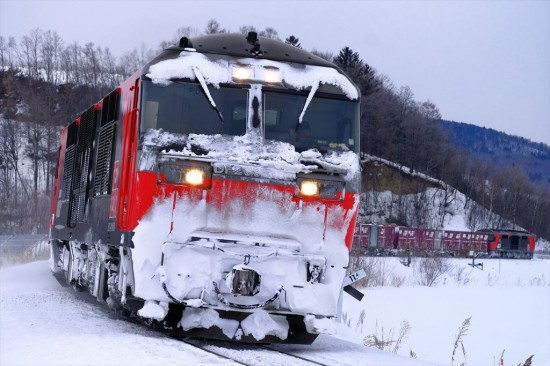 冬の臨時貨物、通称たまねぎ列車。厳冬期の気温は -15℃。このような過酷 な環境下でのレンズ交換は可能な限り避けるべき 焦点距離：85mm  / シャッター速 度：1/1250秒 / 絞り数値：F6.4 / ISO感度：1250