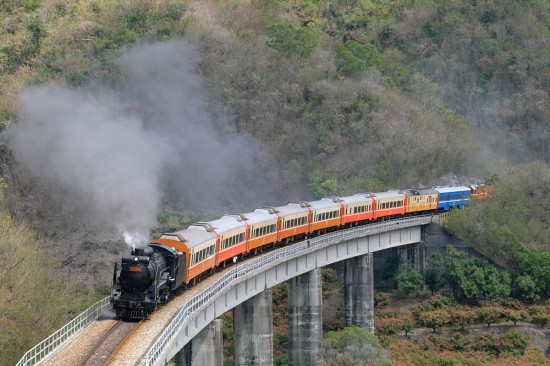 焦点距離：67 mm / シャッター速度：1/1000秒 / 絞り数値：F6.7 / ISO感度：800　台湾で稼働しているDT650形。実は日本製でD51形蒸気機関車と同じものだ。この場所は下り勾配で煙を吐くことはないが、大量の鉄道ファンを見つけた機関士がサービスの煙を吐いてくれた。台湾は鉄道とファンの友好関係が素晴らしいと感じた一コマ。